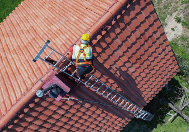 Best Metal Roofing Installation  in Ainaloa, HI